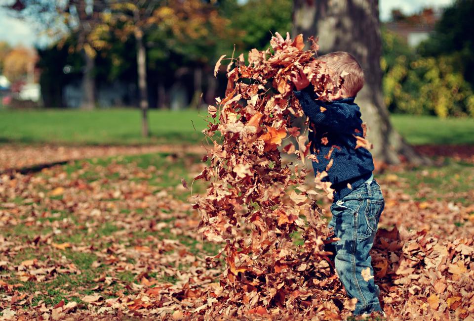 Kind spielt im Herbstlaub